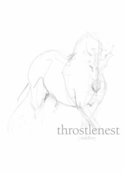 Le Chameau Ladies Vierzonord Wellingtons - Vert Vierzon -Throstlenest Store Screenshot 2019 11 12 at 12.50.10