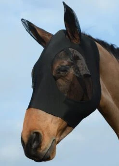 Weatherbeeta Stretch Bug Eye Saver With Ears - Black