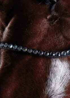 Collegiate Comfitec Crystal Training Bridle - Brown 5 Collegiate Comfitec Crystal Training Bridle - Brown -Throstlenest Store collcrystal