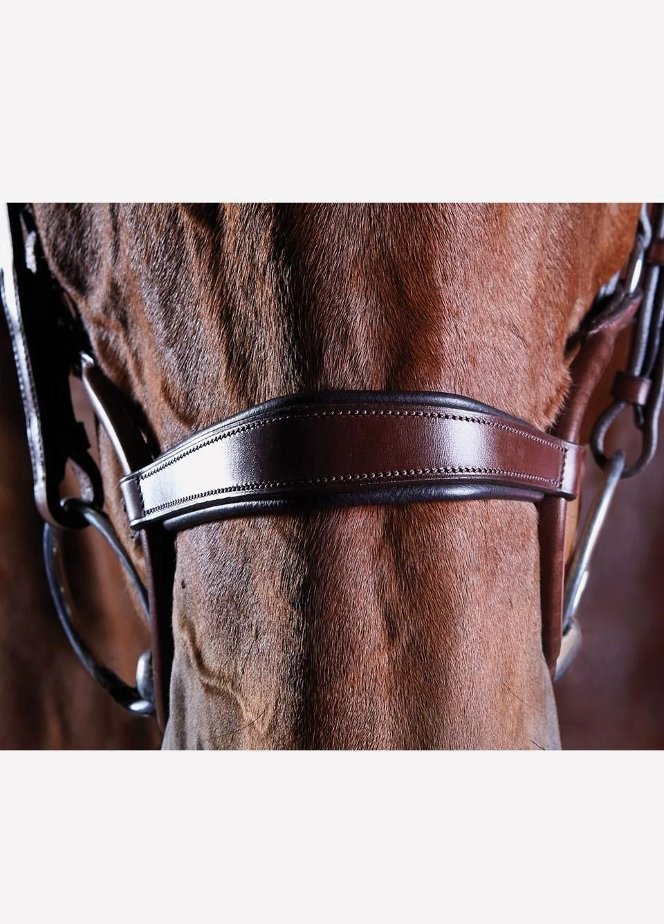 Collegiate Comfitec Crystal Training Bridle - Brown 2 Collegiate Comfitec Crystal Training Bridle - Brown - Image 2