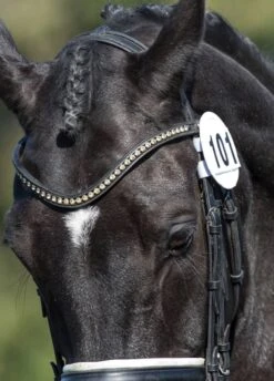 Equetech Bridle Number Holder (Pair) - White