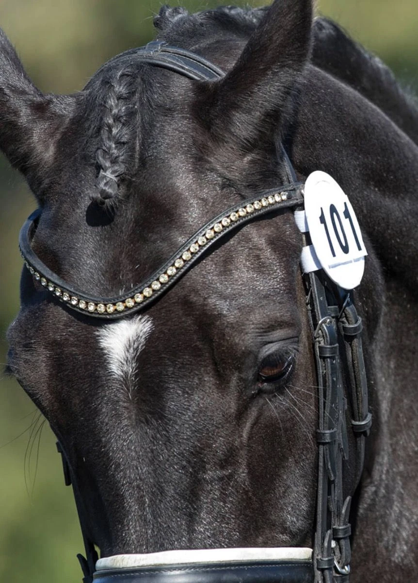 Equetech Bridle Number Holder (Pair) - White 1 Equetech Bridle Number Holder (Pair) - White