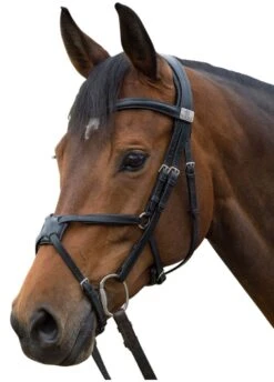 Fairfax Grackle Noseband - Black