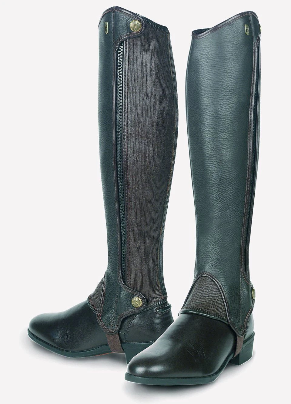 Tredstep Deluxe Half Chap - Brown 1 Tredstep Deluxe Half Chap - Brown