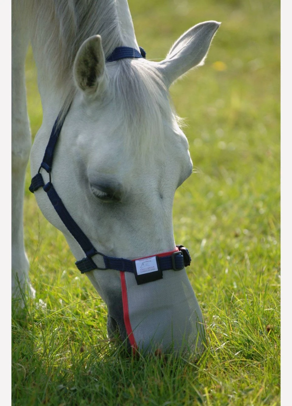 Equilibrium Field Relief Muzzle Protector - Grey 1 Equilibrium Field Relief Muzzle Protector - Grey