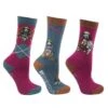Hy Equestrian Thelwell Socks - Imperial Purple/Pacific Blue