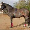 John Whitaker TSR Training System - Navy/Red
