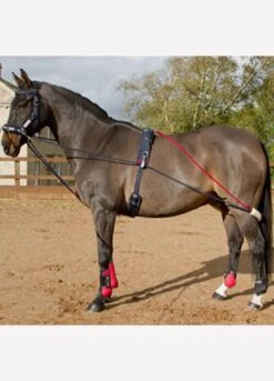 John Whitaker TSR Training System - Navy/Red