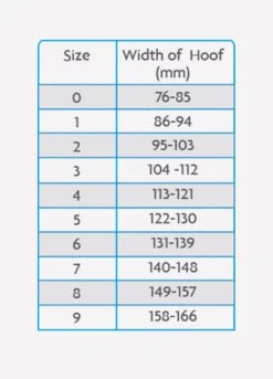 Woof Wear Medical Hoof Boot - Blue -Throstlenest Store medicalhoofchartrdy