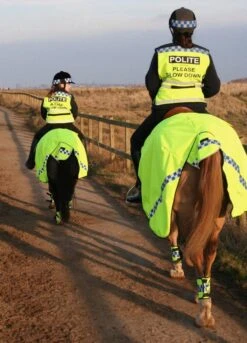 Polite Reflective Wraparound Exercise Sheet