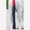 Shires Arma Padded Tail Guard With Bag - Red