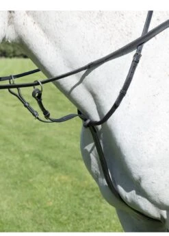 Shires Avignon Running Martingale - Black