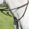 Shires Avignon Running Martingale - Havana
