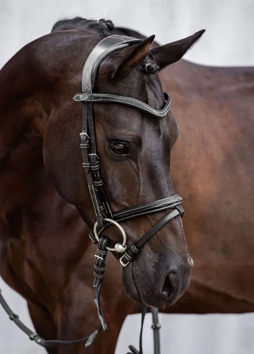 PS Of Sweden Stockholm Bridle - Black 1 PS Of Sweden Stockholm Bridle - Black