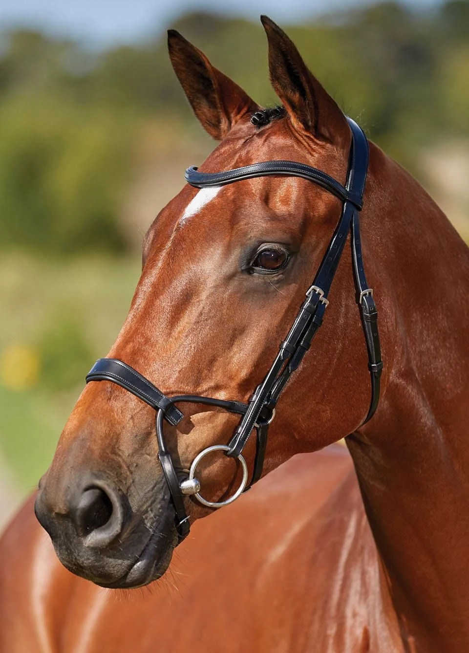Collegiate Comfitec Training Bridle - Black 1 Collegiate Comfitec Training Bridle - Black
