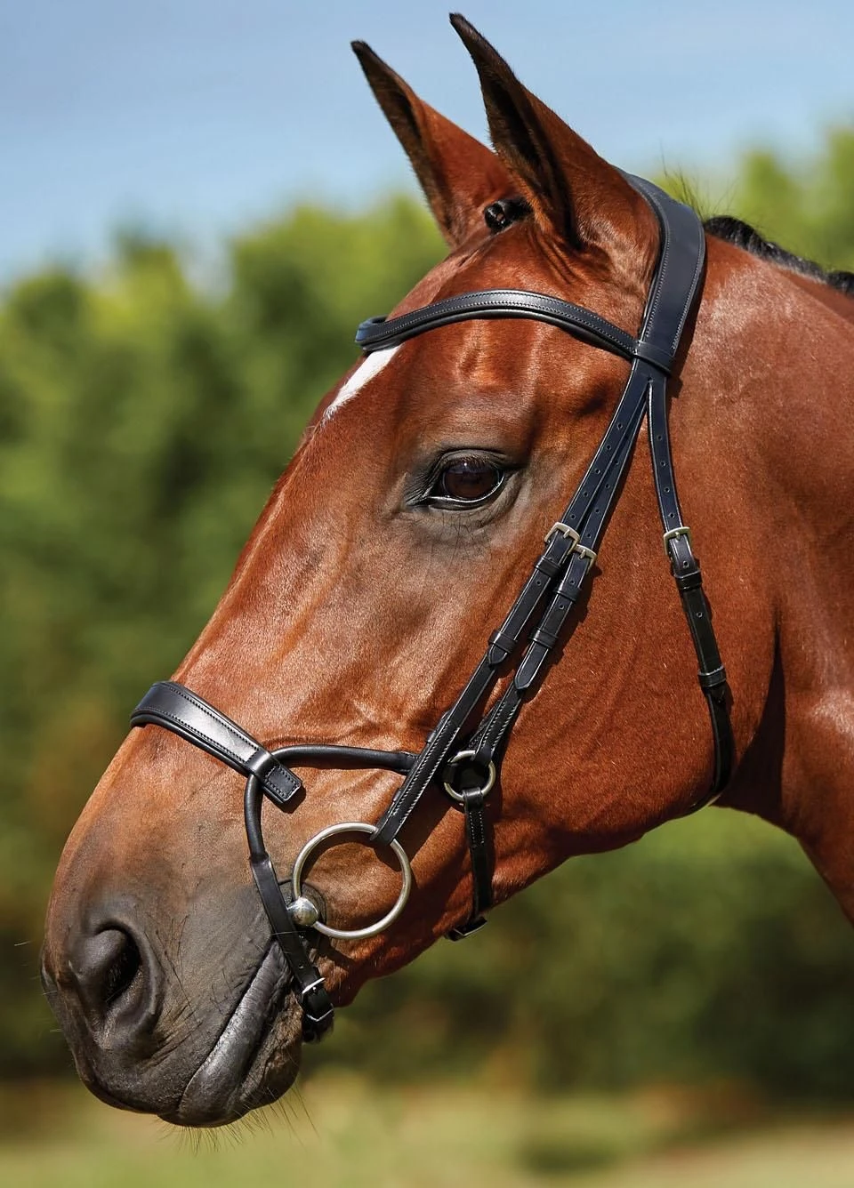 Collegiate Comfitec Training Bridle - Black 3 Collegiate Comfitec Training Bridle - Black - Image 3