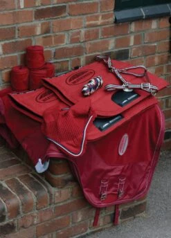 Weatherbeeta Coordinate Headcollar - Ruby -Throstlenest Store wbbirthday2 2