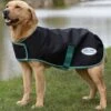 Weatherbeeta Green-Tec 900D Dog Coat Medium - Black/Bottle Green