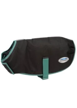 Weatherbeeta Green-Tec 900D Dog Coat Medium - Black/Bottle Green -Throstlenest Store wbgreentecblack4rdy